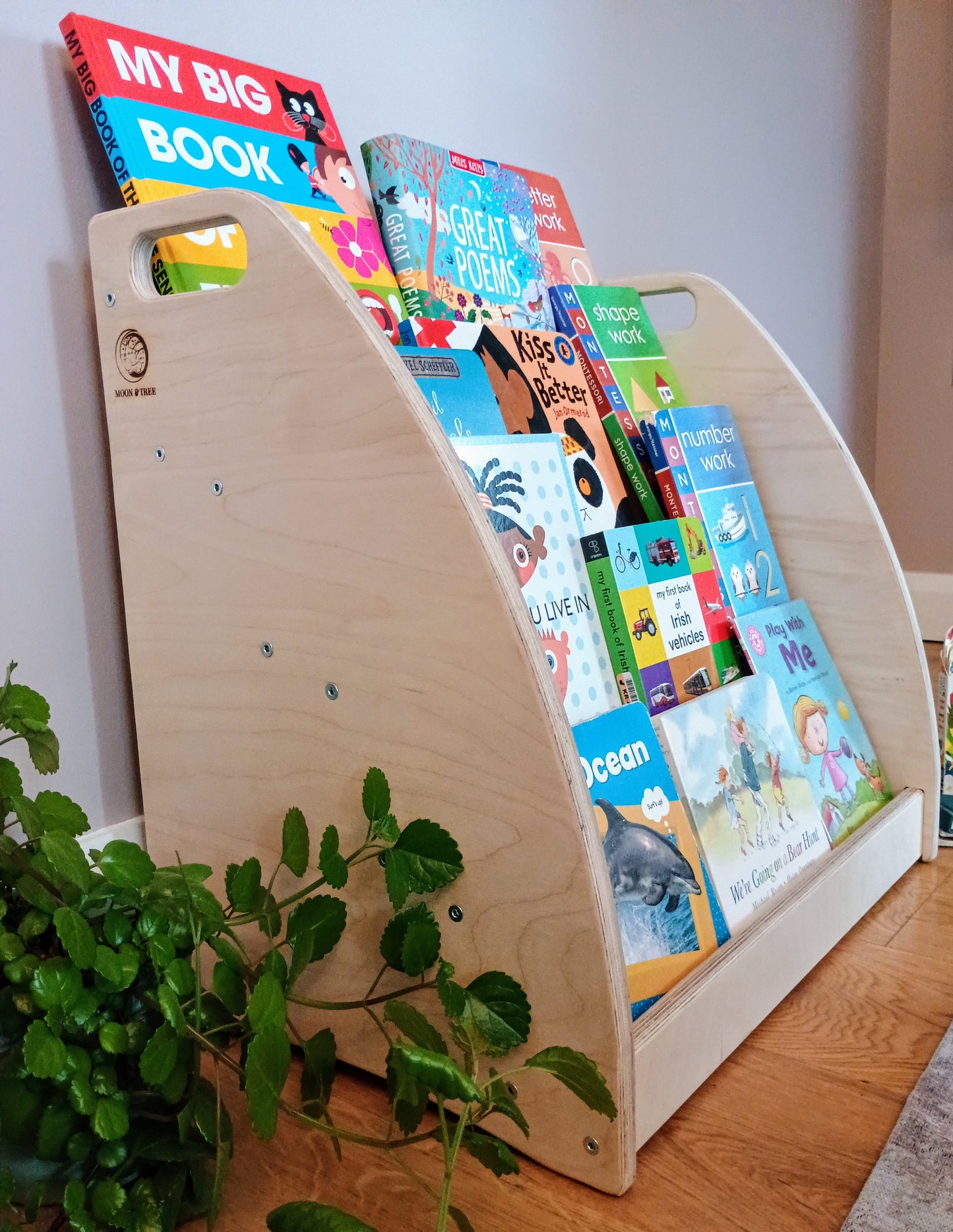 Montessori Bookshelf